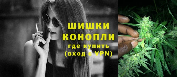 шишки Алзамай