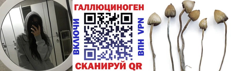 Галлюциногенные грибы Magic Shrooms  Шали 